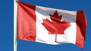 Repercussions of Immigration and Citizenship Fraud: What African Professionals Must Know